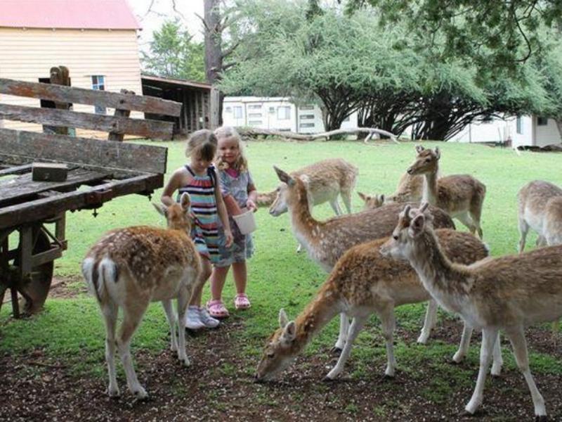 Deer Park Motor Inn Armidale Kültér fotó